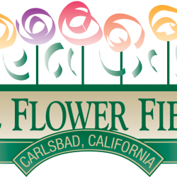 Flower Feilds
